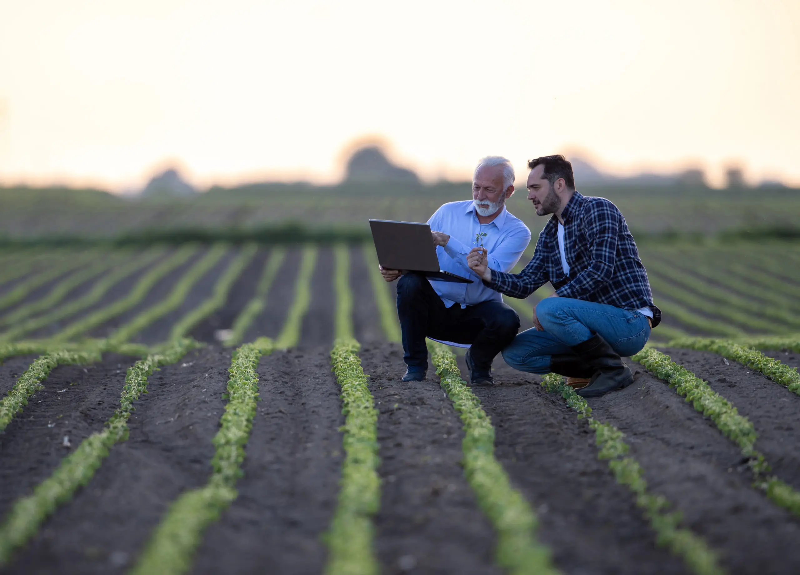 Farmer and insurance agent talking in agricultural field in spring