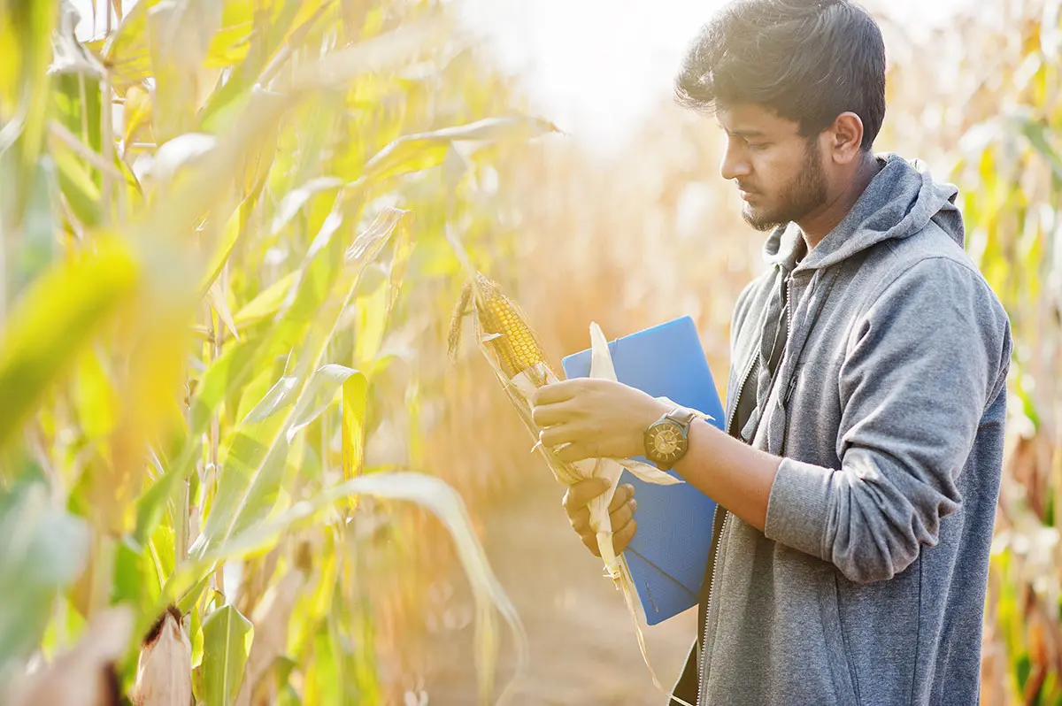 Agricultural expert Agricultural expert
